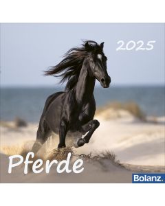 Pferde 2025