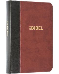 Die Bibel - Schlachter 2000