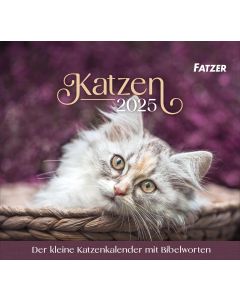 Katzen - Tischkalender 2025