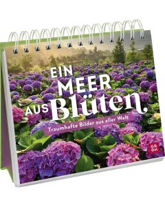 Ein Meer aus Blüten