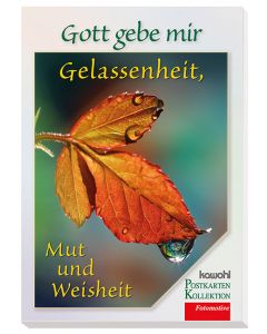 Gott gebe mir Gelassenheit, Mut und Weisheit