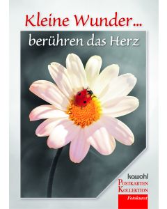 Kleine Wunder berühren das Herz