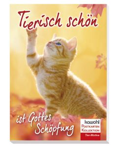 Tierisch schön ist Gottes Schöpfung