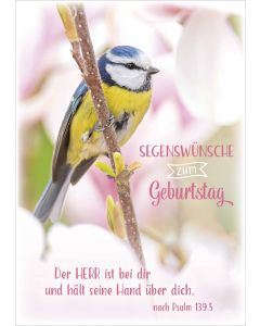 Postkarte 'Segenswünsche zum Geburtstag'