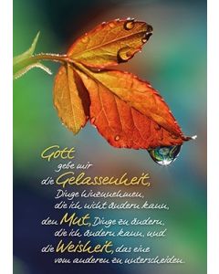 Poster A3 'Gott gebe mir die ...'