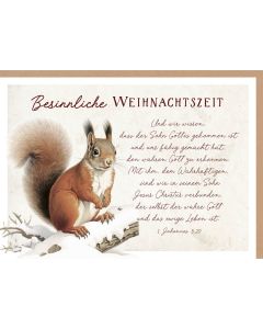 Faltkarte 'Besinnliche Weihnachtszeit'  1x                  Motiv: Eichhörnchen