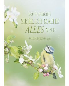 Poster A3 'Gott spricht: Siehe, ich mache alles neu!        Offenbarung 21,5'