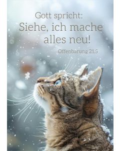 Poster A4 'Gott spricht: Siehe, ich mache alles neu!        Offenbarung 21,5'