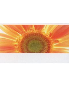 Creative-Card 'Gerbera'